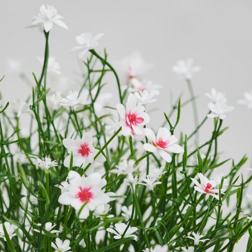 FEJKA, artificial potted plant in/outdoor/Baby’s breath, 9 cm, 306.176.90