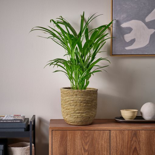 SANDÖDLA, plant pot, 19 cm, 306.330.63