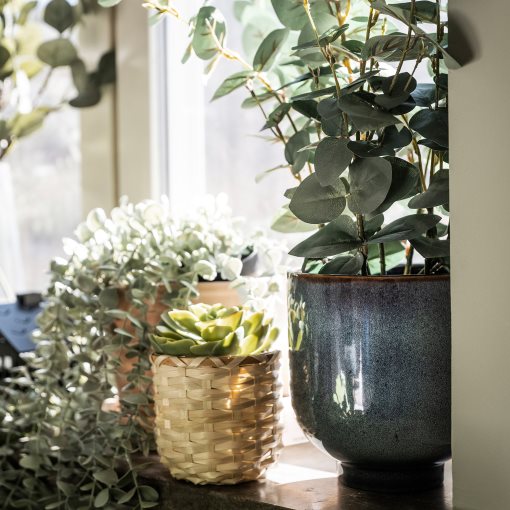 FEJKA, artificial potted plant, in/outdoor eucalyptus, 404.523.68
