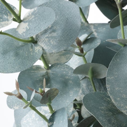 FEJKA, artificial potted plant, in/outdoor eucalyptus, 404.523.68