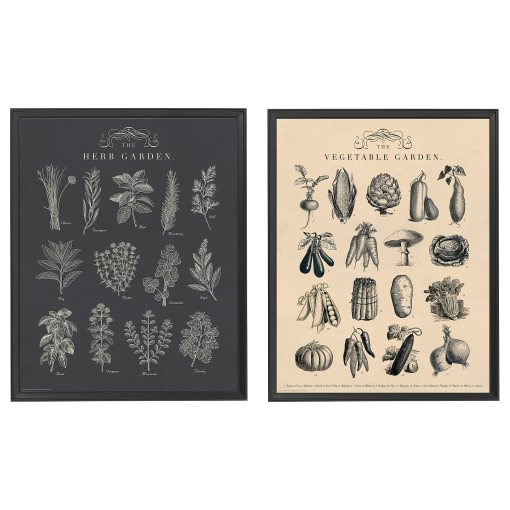 KNOPPÄNG, κορνίζα με πόστερ, 2 τεμ. Κήπος, 404.657.71