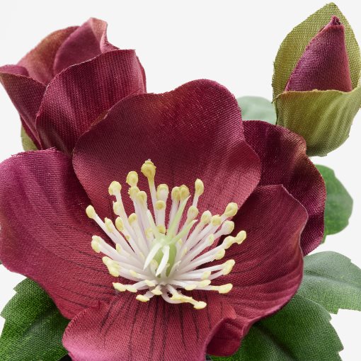 FEJKA, τεχνητό φυτό με κασπό/εσωτερικού/εξωτερικού χώρου , σετ 3 τεμ. 6 cm, 404.966.40