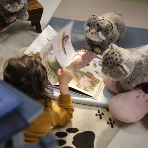 ALPTALL, soft toy/Pallass cat, 31 cm, 406.206.25