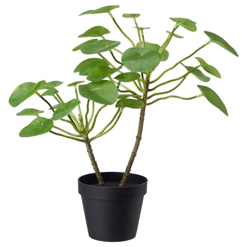 FEJKA, artificial potted plant in/outdoor/Pilea, 12 cm, 503.953.15
