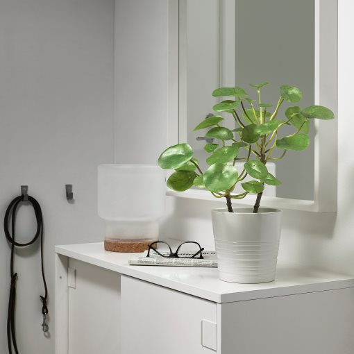 FEJKA, artificial potted plant in/outdoor/Pilea, 12 cm, 503.953.15