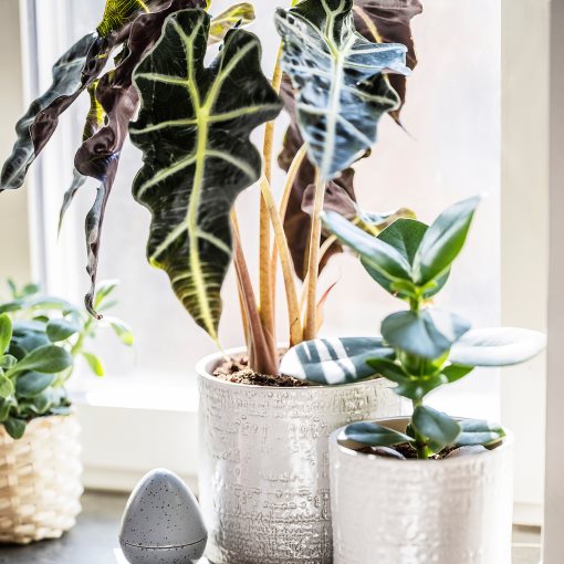 CHIAFRÖN, plant pot in/outdoor, 12 cm, 504.757.60