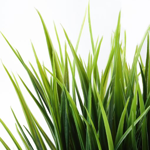 FEJKA, artificial potted plant in/outdoor/grass, 9 cm, 506.210.02