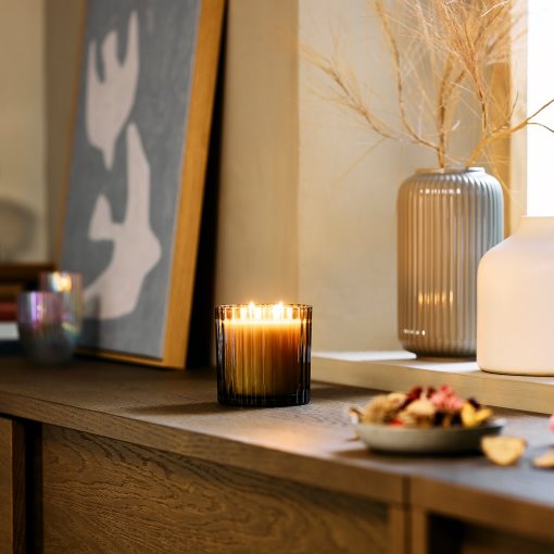 TOFSTÄRNA, scented candle in glass 2 wicks/Fig leaf, 50 hr, 506.276.69