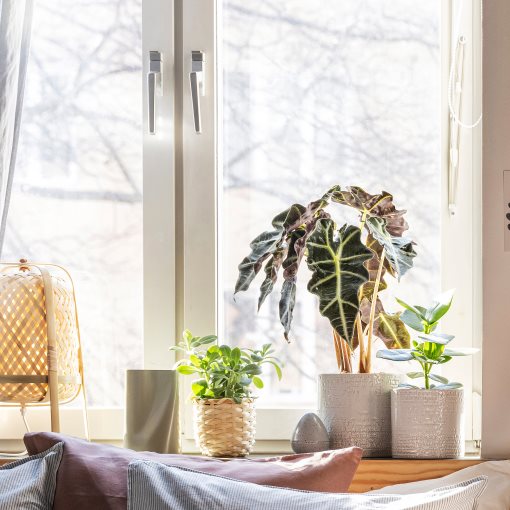 CHIAFRÖN, plant pot in/outdoor, 15 cm, 604.757.93