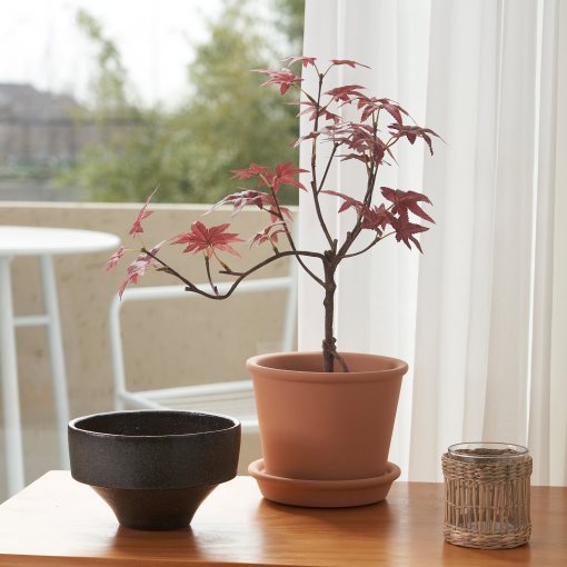 FEJKA, artificial potted plant in/outdoor/maple, 12 cm, 605.599.57