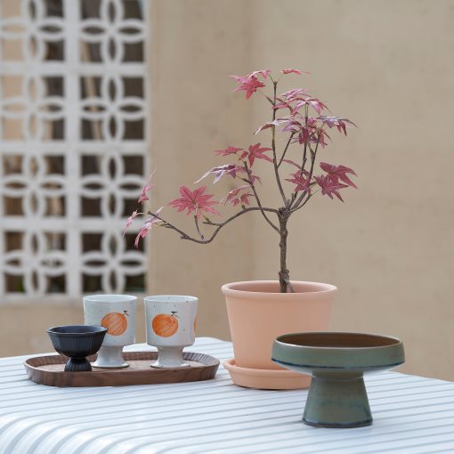 FEJKA, artificial potted plant in/outdoor/maple, 12 cm, 605.599.57