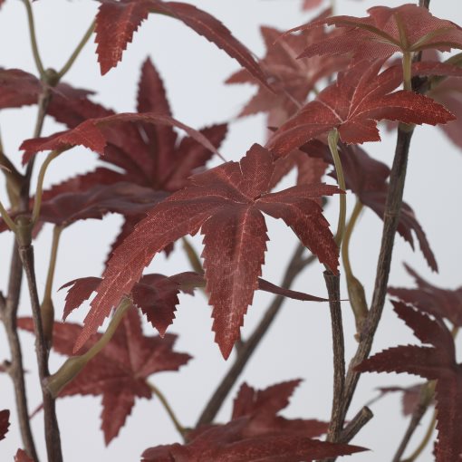 FEJKA, artificial potted plant in/outdoor/maple, 12 cm, 605.599.57