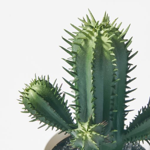 FEJKA, artificial potted plant/in/outdoor Cactus, 6 cm, 605.871.54