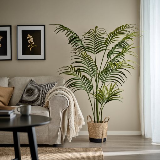 TÄRNMÅS, plant pot indoor, 24 cm, 606.271.88