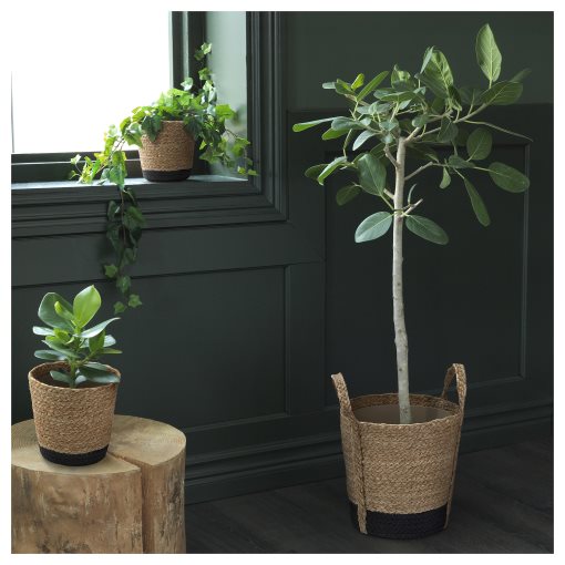 TÄRNMÅS, plant pot indoor, 24 cm, 606.271.88