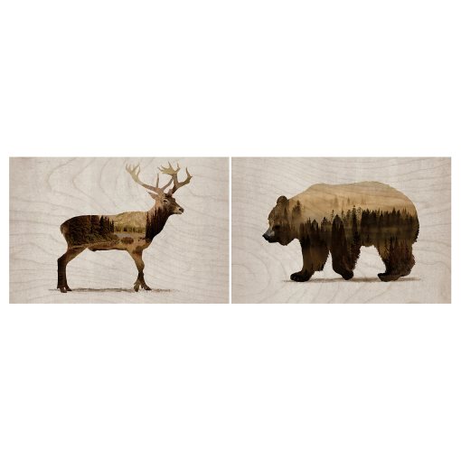 BJORNAMO, picture/ Wild animals II 30x20 cm, set of 2, 704.861.02