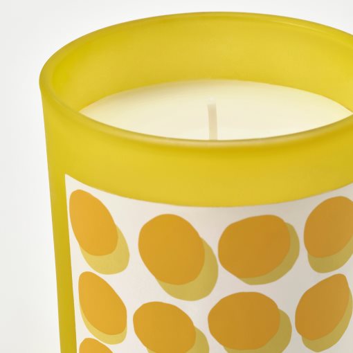 SVARTOXBÄR, scented candle in glass/mimosa, 45 hr, 705.826.60