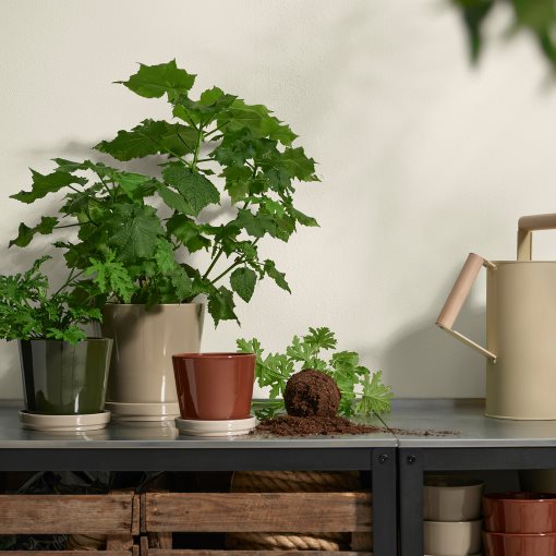 KLOTLÖNN, plant pot with saucer in/outdoor, 12 cm, 705.982.65