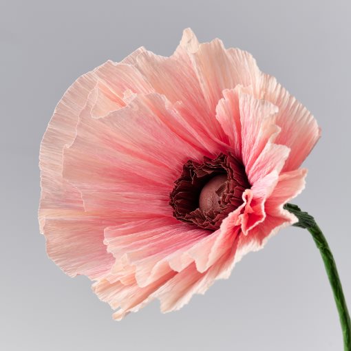 GULDSPETT, artificial flower/Poppy, 40 cm, 706.149.63