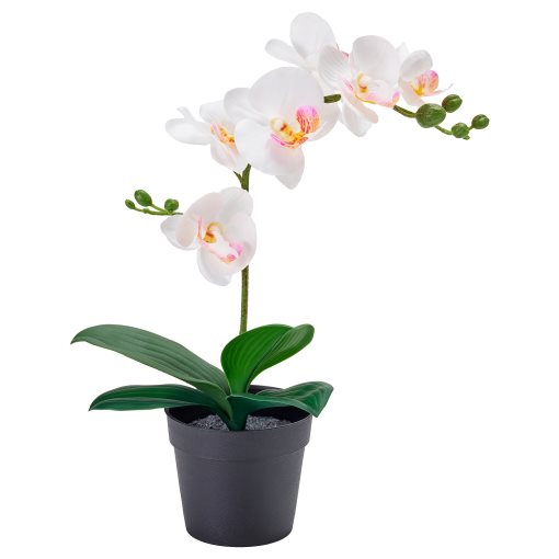 FEJKA, artificial potted plant/Orchid, 9 cm, 706.153.35