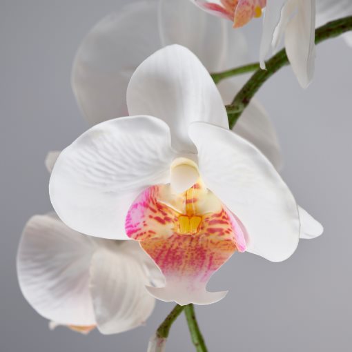 FEJKA, artificial potted plant/Orchid, 9 cm, 706.153.35