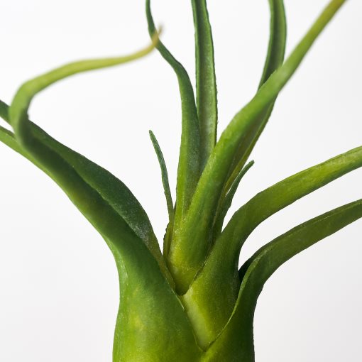 FEJKA, artificial plant/Air plant, set of 3, 805.599.61