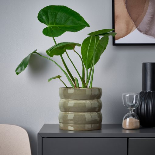 HASSELBUKETT, plant pot in/outdoor, 15 cm, 805.959.16