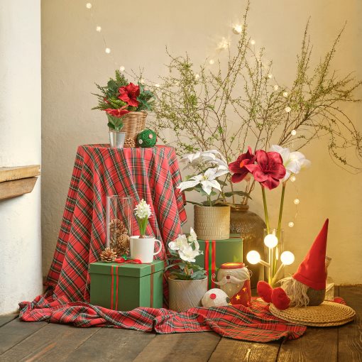 VINTERFINT, artificial potted plant/in/outdoor/arrangement, 12 cm, 905.621.47