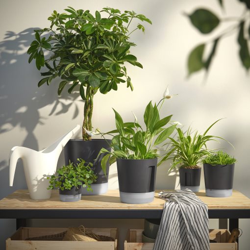 VÅRDTRÄD, self-watering plant pot/in/outdoor, 15 cm, 905.708.59