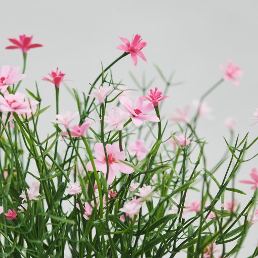FEJKA, artificial potted plant in/outdoor/Baby’s breath, 9 cm, 906.198.46
