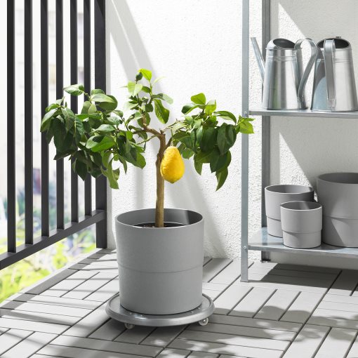 NYPON, plant pot, in/outdoor, 003.956.24