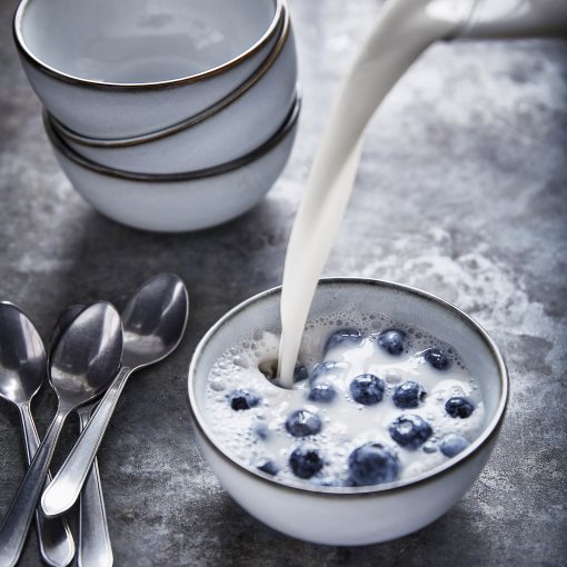 IDENTITET, μαχαιροπίρουνα, σετ 16 τεμ., 004.530.58