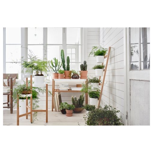 SATSUMAS, plant stand with 5 plant pots, 102.581.55