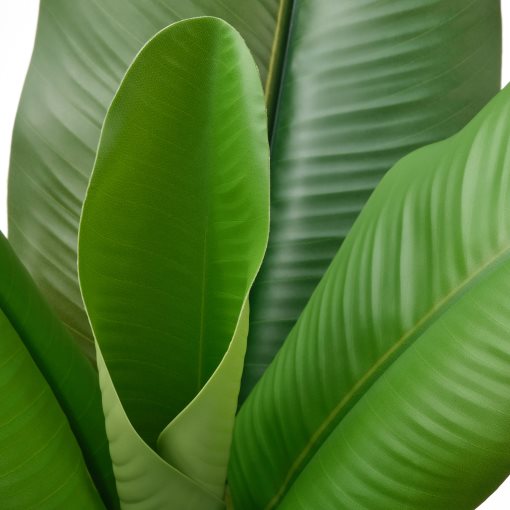 FEJKA, artificial potted plant in/outdoor Banana tree, 12 cm, 106.008.60