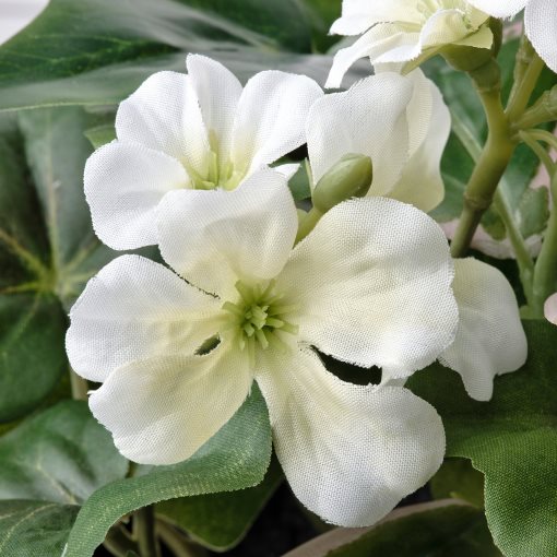 FEJKA, artificial potted plant arrangement/in/outdoor, 12 cm, 205.380.09