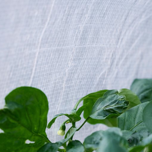 ASPAREN, greenhouse, 123x190x190 cm, 205.856.23