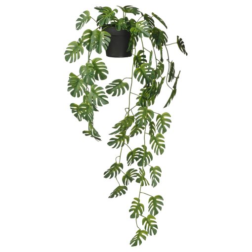 FEJKA, artificial potted plant in/outdoor hanging/Monstera, 9 cm, 206.084.03