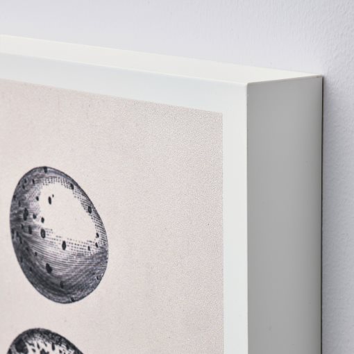 BJÖRNAMO, art print on hollow wood/Eggs, 20x30 cm, 305.332.14