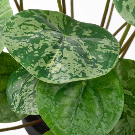 FEJKA, artificial potted plant in/outdoor Pilea, 9 cm, 306.008.59