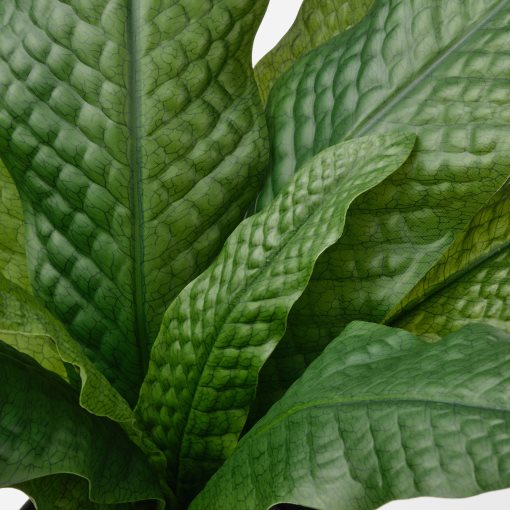 FEJKA, artificial potted plant in/outdoor/Crocodile fern, 12 cm, 406.008.73