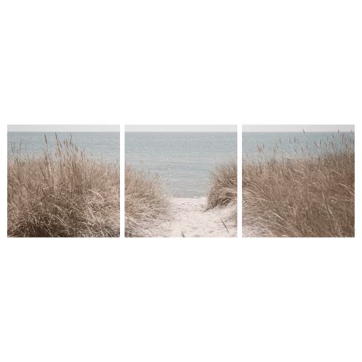 PJÄTTERYD, picture/Swedish sand dunes/3 pack, 56x56 cm, 406.020.18
