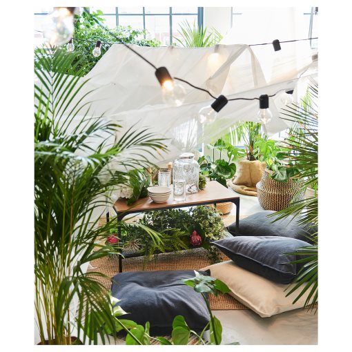 DYPSIS, potted plant, Areca palm, 468.040.05