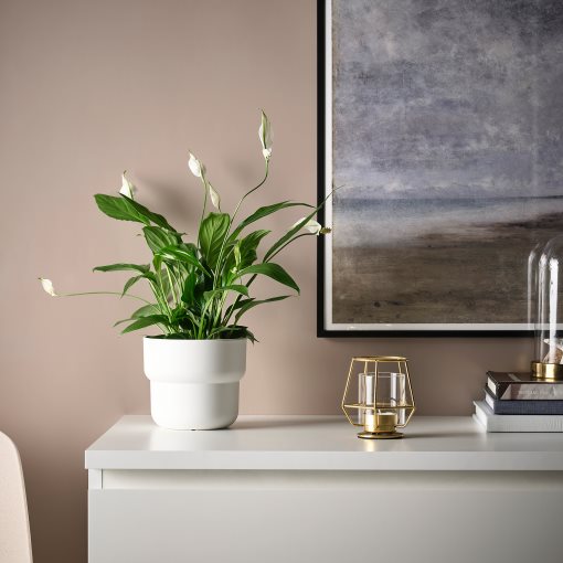 PÄRLBAND, βάση για κερί ρεσό, 503.485.45