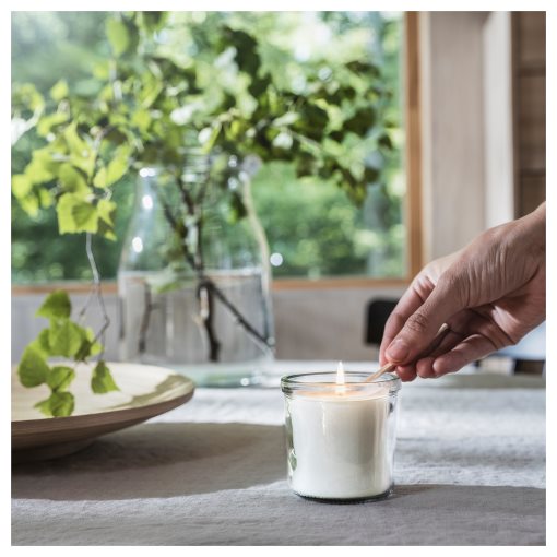 ADLAD, scented candle in glass/Scandinavian Woods/, 20 hr, 505.021.03