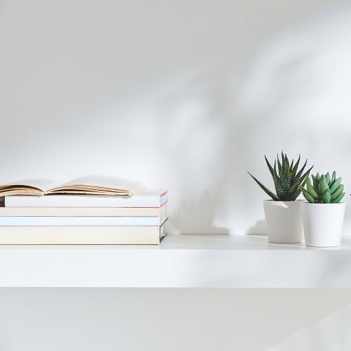 FEJKA, artificial potted plant with pot/in/outdoor Succulent/3 pack, 6 cm, 505.197.64