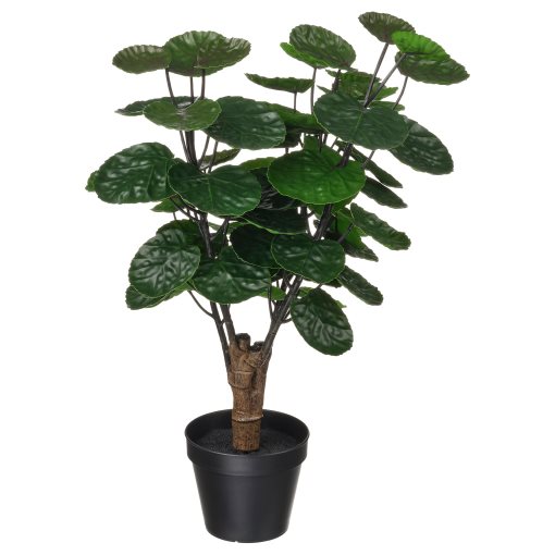 FEJKA, artificial potted plant in/outdoor/Aralia, 12 cm, 606.008.53