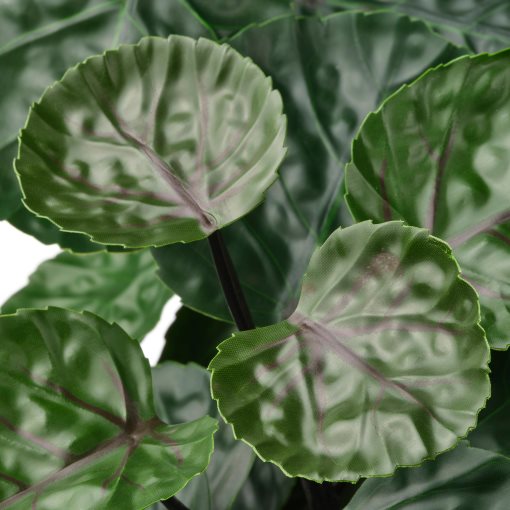FEJKA, artificial potted plant in/outdoor/Aralia, 12 cm, 606.008.53