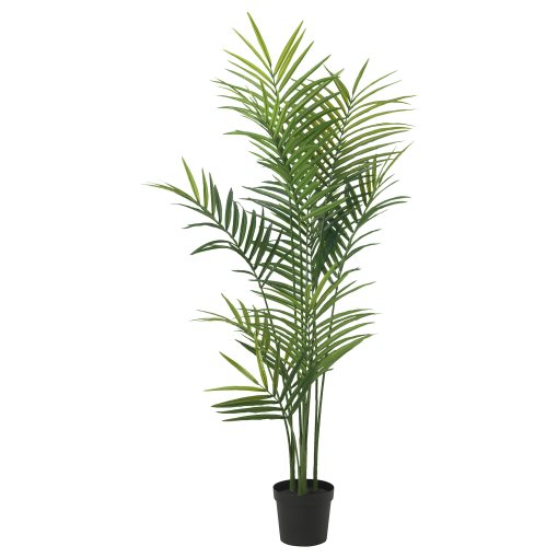 FEJKA, artificial potted plant in/outdoor/Kentia palm, 21 cm, 606.106.06