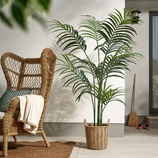 FEJKA, artificial potted plant in/outdoor/Kentia palm, 21 cm, 606.106.06