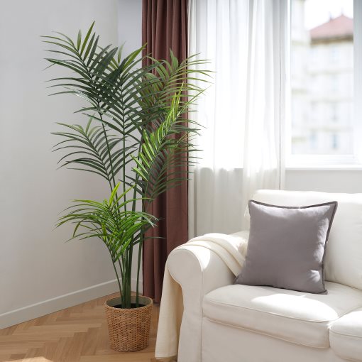 FEJKA, artificial potted plant in/outdoor/Kentia palm, 21 cm, 606.106.06